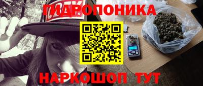 шишки Северобайкальск