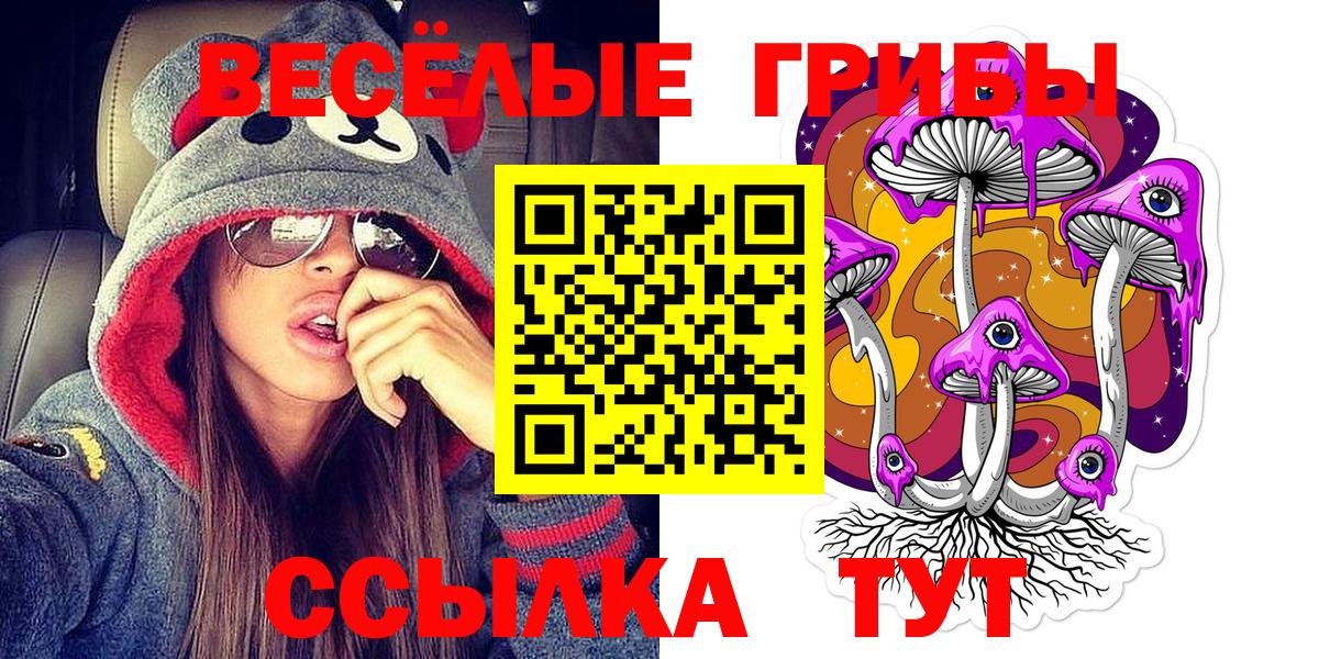 Галлюциногенные грибы ЛСД Муром