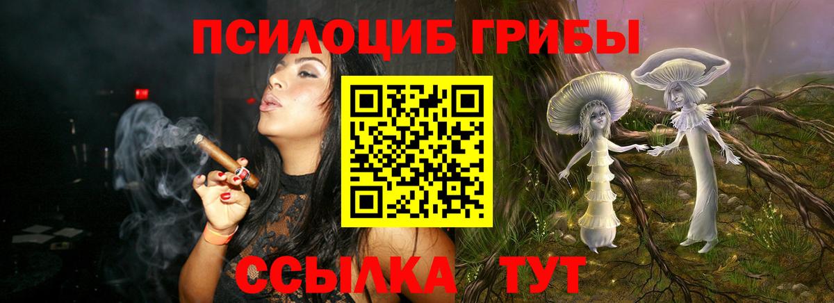 Муром  Псилоцибиновые грибы мухоморы  Вход с VPN 